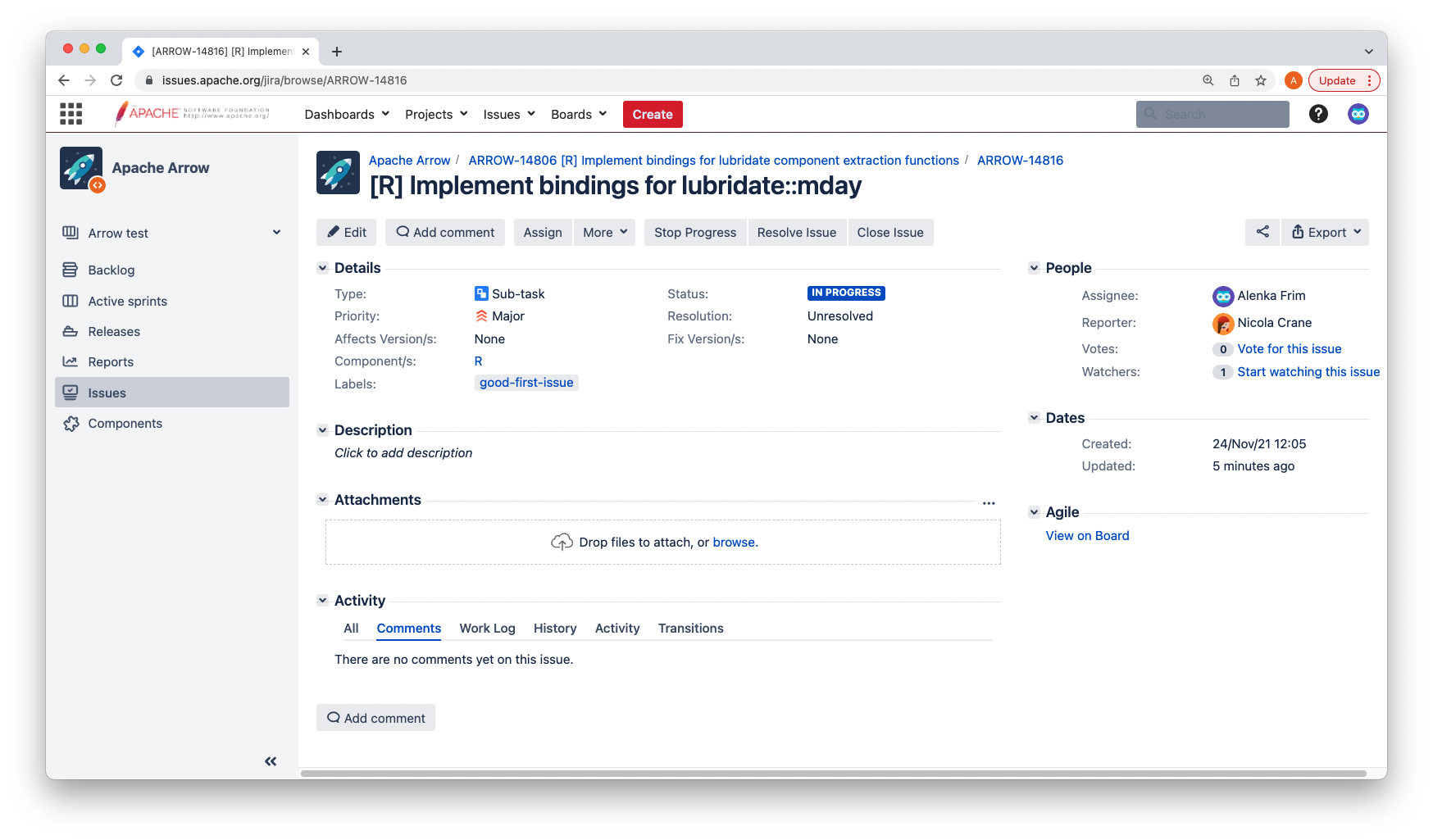 JIRA page of the issue for the R binding.